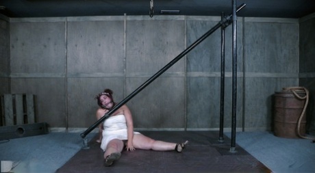 jenna fox bbw erotic image