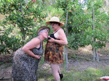 bbw in pantyhose adult images