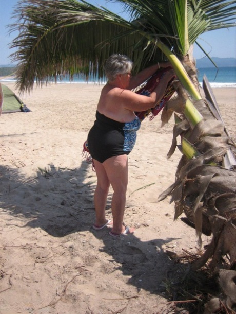 big ass bbw compilation porn archive
