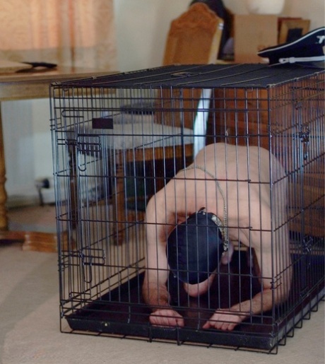 bbw self pee free naked image