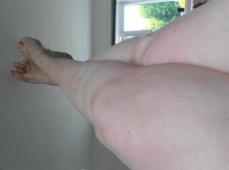 fat irish free photo