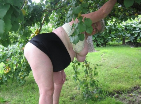 hairy ginger bbw porno pictures