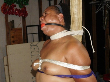 massive intent and fat ass free porn picture