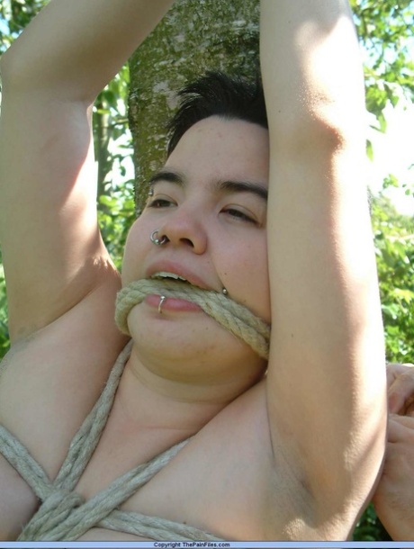 massivetit bbw sucking and spoon fucking hot porn image