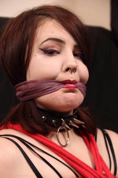 good bbw head blowjob s nudes image
