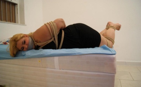 bbw mistress facesitting hot nude archive