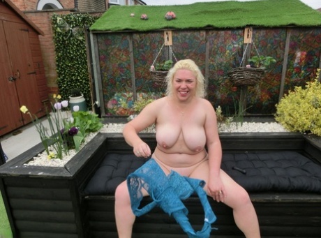thick curvey girls free photo