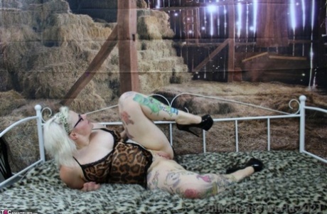porn bbw sis art nude img