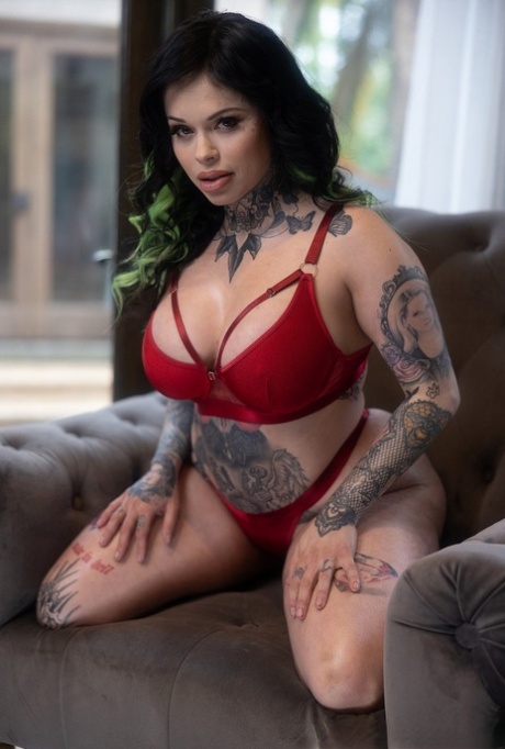 ddf curvy adult archive