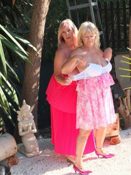 best bbw stars 2023 sexy img