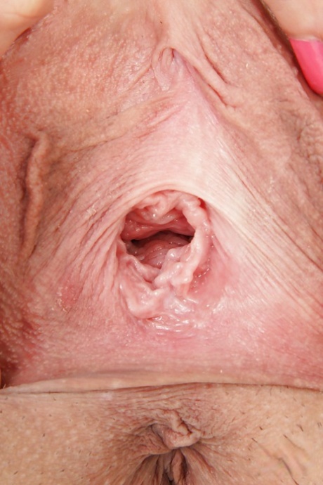 Stella Fox pornographic actress archive