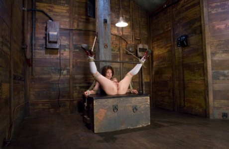 fat wives free photos