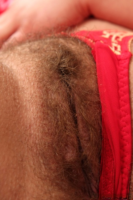 thick phat ass latina bbc pornos galleries