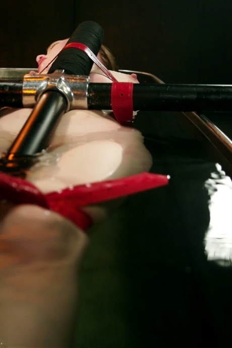 bbw prolapse art xxx gallery