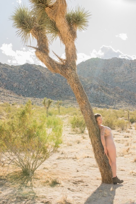 ava rose big ass tease sexy naked images