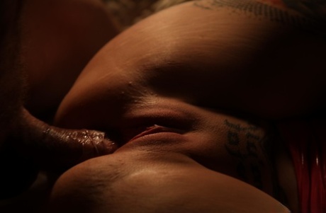 bbw window free sexy image