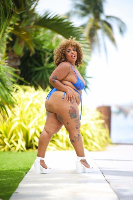 bbw wet panties xxx image