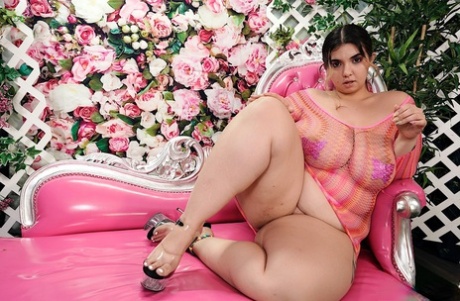 fat rabbit killer sex pic