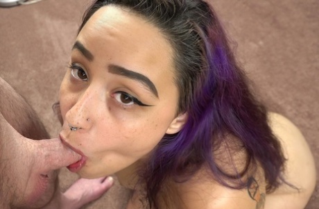 fat brat bbw art naked picture